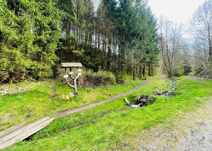 Haus Am Bach Dom wakacyjny